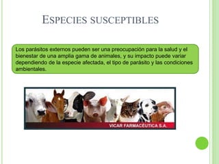 ESPECIES SUSCEPTIBLES
Los parásitos externos pueden ser una preocupación para la salud y el
bienestar de una amplia gama de animales, y su impacto puede variar
dependiendo de la especie afectada, el tipo de parásito y las condiciones
ambientales.
 
