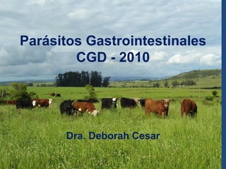 Parásitos Gastrointestinales
        CGD - 2010




      Dra. Deborah Cesar
 