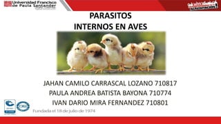 PARASITOS
INTERNOS EN AVES
JAHAN CAMILO CARRASCAL LOZANO 710817
PAULA ANDREA BATISTA BAYONA 710774
IVAN DARIO MIRA FERNANDEZ 710801
 