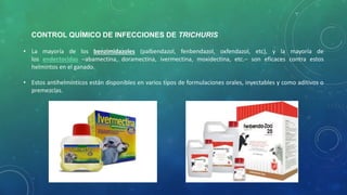 • La mayoría de los benzimidazoles (palbendazol, fenbendazol, oxfendazol, etc), y la mayoría de
los endectocidas –abamectina, doramectina, ivermectina, moxidectina, etc.– son eficaces contra estos
helmintos en el ganado.
• Estos antihelmínticos están disponibles en varios tipos de formulaciones orales, inyectables y como aditivos o
premezclas.
CONTROL QUÍMICO DE INFECCIONES DE TRICHURIS
 