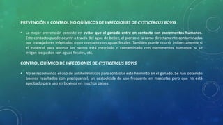 PREVENCIÓN Y CONTROL NO QUÍMICOS DE INFECCIONES DE CYSTICERCUS BOVIS
• La mejor prevención consiste en evitar que el ganado entre en contacto con excrementos humanos.
Este contacto puede ocurrir a través del agua de beber, el pienso o la cama directamente contaminadas
por trabajadores infectados o por contacto con aguas fecales. También puede ocurrir indirectamente si
el estiércol para abonar los pastos está mezclado o contaminado con excrementos humanos, si se
irrigan los pastos con aguas fecales, etc.
CONTROL QUÍMICO DE INFECCIONES DE CYSTICERCUS BOVIS
• No se recomienda el uso de antihelmínticos para controlar este helminto en el ganado. Se han obtenido
buenos resultados con praziquantel, un cestodicida de uso frecuente en mascotas pero que no está
aprobado para uso en bovinos en muchos países.
 