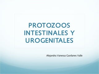 PROTOZOOS
INTESTINALES Y
 UROGENITALES

      Alejandra Vanessa Gavilanes Valle
 