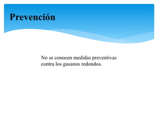 Prevención
No se conocen medidas preventivas
contra los gusanos redondos.
 