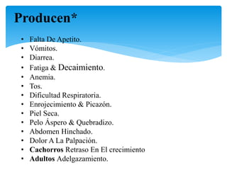 Producen*
• Falta De Apetito.
• Vómitos.
• Diarrea.
• Fatiga & Decaimiento.
• Anemia.
• Tos.
• Dificultad Respiratoria.
• Enrojecimiento & Picazón.
• Piel Seca.
• Pelo Áspero & Quebradizo.
• Abdomen Hinchado.
• Dolor A La Palpación.
• Cachorros Retraso En El crecimiento
• Adultos Adelgazamiento.
 