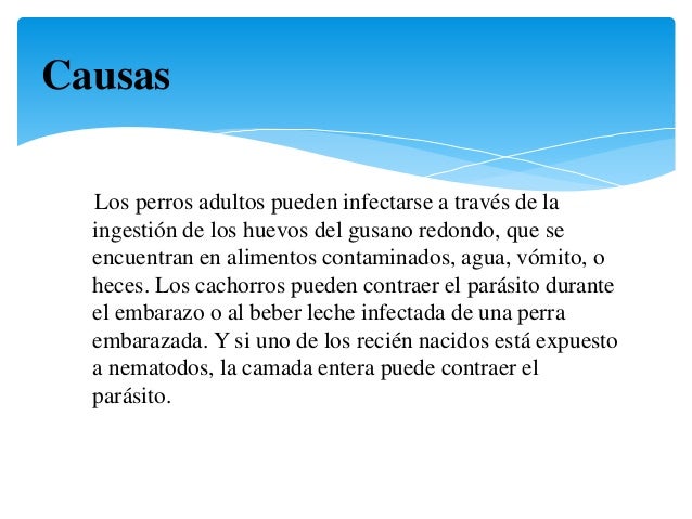 Que productos no es posible es a las lamblias
