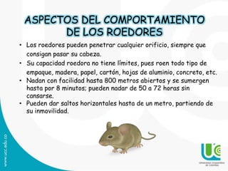 Parasitos internos y externos de importancia económica en la producción ...