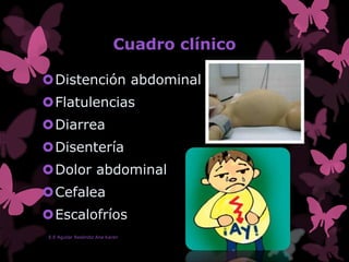 Cuadro clínico
Distención abdominal
Flatulencias
Diarrea
Disentería
Dolor abdominal
Cefalea
Escalofríos
E.E Aguilar Reséndiz Ana Karen
 