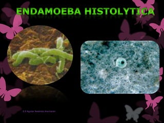 E.E Aguilar Reséndiz Ana Karen
 