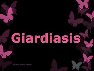 E.E Aguilar Reséndiz Ana Karen
 