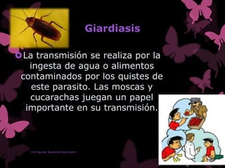 Giardiasis
La transmisión se realiza por la
ingesta de agua o alimentos
contaminados por los quistes de
este parasito. Las moscas y
cucarachas juegan un papel
importante en su transmisión.
E.E Aguilar Reséndiz Ana Karen
 