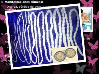  Manifestaciones clínicas:
Diarrea, pérdida de peso, anemia leve, molestias
abdominales.
 Periodo de incubación:
De 1 a 2 semanas.
 Pruebas diagnósticas:
Inspección: El diagnóstico se hace con el descubrimiento de
anillos en la ropa interior o en las heces tras su expulsión.
Coproparasitoscopía.
 Tratamiento:
 Niclosamida (Niclocide). Este medicamento mata
rápidamente tenias.
E.E Aguilar Reséndiz Ana Karen
 