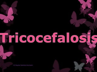 E.E Aguilar Reséndiz Ana Karen
 