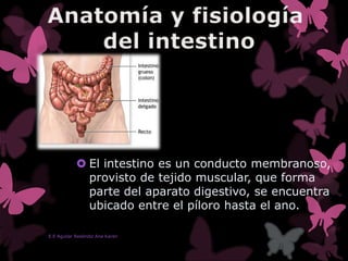  El intestino es un conducto membranoso,
provisto de tejido muscular, que forma
parte del aparato digestivo, se encuentra
ubicado entre el píloro hasta el ano.
E.E Aguilar Reséndiz Ana Karen
 