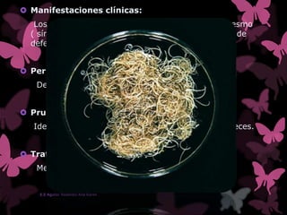  Manifestaciones clínicas:
Los síntomas pueden incluir dolor abdominal, tenesmo
( síntoma en el que el paciente siente la necesidad de
defecar) y prolapso rectal, diarrea, disentería.
 Periodo de incubación:
De 1 a 3 meses.
 Pruebas diagnósticas:
Identificación microscópica de los huevos en las heces.
 Tratamiento:
Mebendazol, se ministra vía oral durante 3 días.
E.E Aguilar Reséndiz Ana Karen
 