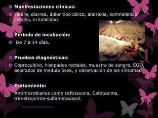  Manifestaciones clínicas:
 Fiebre, diarrea, dolor tipo cólico, anorexia, somnolencia,
cefalea, irritabilidad.
 Periodo de incubación:
 De 7 a 14 días.
 Pruebas diagnósticas:
 Coprocultivo, hisopados rectales, muestra de sangre, EGO,
aspirados de medula ósea, y observación de los síntomas.
 Tratamiento:
Antimicrobianos como ceftriaxona, Cefotaxima,
trimetroprima-sulfametoxazol.
E.E Aguilar Reséndiz Ana Karen
 