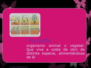 Parásito
organismo animal o vegetal:
Que vive a costa de otro de
distinta especie, alimentándose
de él
E.E Aguilar Reséndiz Ana Karen
 