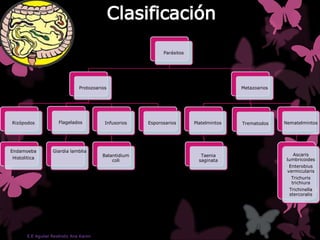 Parásitos
Protozoarios
Rizópodos
Endamoeba
Histolitica
Flagelados
Giardia lamblia
Infusorios
Balantidium
coli
Esporosarios
Metazoarios
Platelmintos
Taenia
saginata
Trematodos Nematelmintos
Ascaris
lumbricoides
Enterobius
vermicularis
Trichuris
trichiura
Trichinella
stercoralis
E.E Aguilar Reséndiz Ana Karen
 