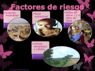 • Lugares
insalubres
• Nivel
nutricional
• Niños de
entre 1 y 4
años de
edad
• Climas
templados
y cálidos
E.E Aguilar Reséndiz Ana Karen
 