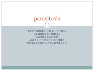 parasitosis 
ENTAMOEBA HISTOLYTICA 
GIARDIA LAMBLIA 
TAENIA SOLIUM 
ASCARIS LUMBRICOIDES 
ENTEROBIUS VERMICULARIS 
 