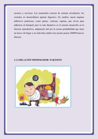 secretor y nervioso. Los nematodos carecen de sistema circulatorio, los
cestodos no desarrollaron aparato digestivo. En cambio, nacen órganos
adhesivos poderosos, como garras, ventosas, espinas, que sirven para
adherirse al huésped; pero lo más llamativo es el enorme desarrollo en la
función reproductiva, adaptación útil por la escasa probabilidad que tiene
un huevo de llegar a un individuo adulto (los áscaris ponen 200000 huevos
diarios).
1.1.2 RELACIÓN HOSPEDADOR- PARÁSITO
 