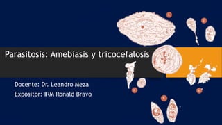 Parasitosis: Amebiasis y tricocefalosis
Docente: Dr. Leandro Meza
Expositor: IRM Ronald Bravo
 