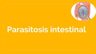 Parasitosis intestinal
 