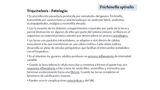 SÍNTOMAS
Trichinella spiralis
 