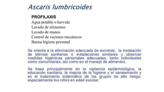 PROFILAXIS
Agua potable o hervida
Lavado de alimentos
Lavado de manos
Control de vectores mecánicos
Buena higiene personal
 