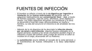FUENTES DE INFECCIÓN
⦁ El hombre se infecta a través de la vía digestiva por ingestión e
inhalación de los huevos embrionados del parásito, que se
adquieren habitualmente por contaminación fecal - oral, a través
de fomites (juguetes, ropa de cama, alfombras, otros objetos) y
manos. Los jugos digestivos disuelven sus envolturas y la larva
se desarrolla a nivel del ciego, diferenciándose en macho y
hembra. La vida del oxiuro en el intestino es de alrededor de tres
meses.
⦁ Además de la vía digestiva de ha descripto la infección directa
por vía rectal o retro infección: algunos huevos colocados en la
región perianal, estallan y las larvas resultantes pueden migrar al
intestino a través del esfínter anal y luego de recorrer el colon se
instalan en el ciego, alcanzando allí su madurez.
⦁ La autoinfección ocurre debido al rascado de la zona perianal, y
la transferencia de huevos infectantes a la boca (ano-mano-
boca).
 