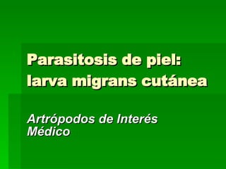 Parasitosis de piel: larva migrans cutánea Artrópodos de Interés Médico 