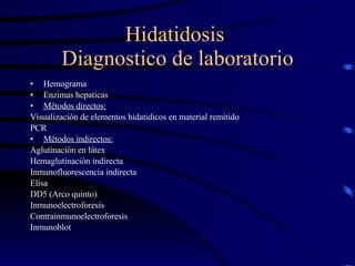 Hidatidosis  Diagnostico de laboratorio Hemograma Enzimas hepaticas Métodos directos: Visualización de elementos hidatidicos en material remitido PCR Métodos indirectos: Aglutinación en látex Hemaglutinación indirecta Inmunofluorescencia indirecta Elisa DD5 (Arco quinto) Inmunoelectroforesis Contrainmunoelectroforesis Inmunoblot 