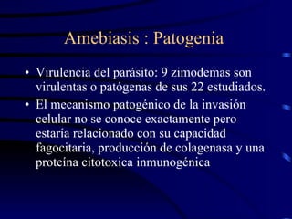 Amebiasis : Patogenia  Virulencia del parásito: 9 zimodemas son virulentas o patógenas de sus 22 estudiados. El mecanismo patogénico de la invasión celular no se conoce exactamente pero estaría relacionado con su capacidad fagocitaria, producción de colagenasa y una proteína citotoxica inmunogénica 
