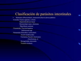 Clasificación de parásitos intestinales Helmintos (Pluricelulares, metazoarios,huevos,larvas,adultos) -Cestodes:Taenia saginata y solium Diphyllobothrium latum Hymenolepis nana y diminuta Dipylidium caninum -Trematodes: Fasciola hepática Schistosoma spp -Nematodes:Enterobius vermicularis Ascaris lumbricoides Uncinarias-Necator americanus -Ancylostoma  d. Strongyloides stercoralis Trichuris trichuria 