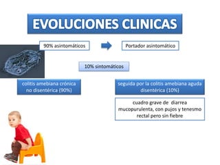Portador asintomático
10% sintomáticos
colitis amebiana crónica
no disentérica (90%)
seguida por la colitis amebiana aguda
disentérica (10%)
cuadro grave de diarrea
mucopurulenta, con pujos y tenesmo
rectal pero sin fiebre
90% asintomáticos
 