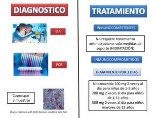 Oocysct stained with Ziehl-Neelsen modified acid fast
Coprospa/
3 muestras
EIA
PCR
INMUNOCOMPETENTES
No requiere tratamiento
antimicrobiano, solo medidas de
soporte (HIDRATACIÓN)
INMUNOCOMPROMETIDOS
Nitazoxanida 100 mg 2 veces al
dia para niños de 1-3 años
200 mg 2 veces al dia para niños
de 4-11 años
500 mg 2 veces al dia para niños
mayores de 12 años
TRATAMIENTO POR 3 DIAS
 