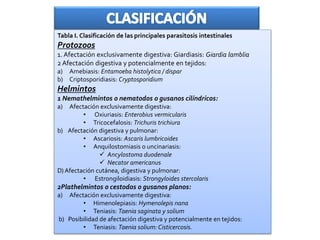 Tabla I. Clasificación de las principales parasitosis intestinales
Protozoos
1. Afectación exclusivamente digestiva: Giardiasis: Giardia lamblia
2 Afectación digestiva y potencialmente en tejidos:
a) Amebiasis: Entamoeba histolytica / dispar
b) Criptosporidiasis: Cryptosporidium
Helmintos
1 Nemathelmintos o nematodos o gusanos cilíndricos:
a) Afectación exclusivamente digestiva:
• Oxiuriasis: Enterobius vermicularis
• Tricocefalosis: Trichuris trichiura
b) Afectación digestiva y pulmonar:
• Ascariosis: Ascaris lumbricoides
• Anquilostomiasis o uncinariasis:
 Ancylostoma duodenale
 Necator americanus
D) Afectación cutánea, digestiva y pulmonar:
• Estrongiloidiasis: Strongyloides stercolaris
2Plathelmintos o cestodos o gusanos planos:
a) Afectación exclusivamente digestiva:
• Himenolepiasis: Hymenolepis nana
• Teniasis: Taenia saginata y solium
b) Posibilidad de afectación digestiva y potencialmente en tejidos:
• Teniasis: Taenia solium: Cisticercosis.
 
