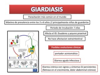 Parasitación más común en el mundo
Máximo de prevalencia entre los 2 a 6 años // principalmente niños de guarderías
Periodo de incubación: 5 días
Posibles evoluciones clínicas
portador asintomático
Diarrea aguda infecciosa
Diarrea crónica con signos y síntomas GI persistentes
(Retraso en el crecimiento, dolor abdominal crónico)
Afecta el ID: Duodeno y yeyuno proximal
No hace afectacion extraintestinal
 