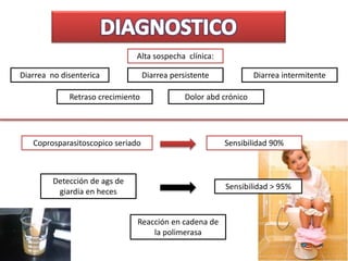Alta sospecha clínica:
Diarrea no disenterica Diarrea persistente Diarrea intermitente
Retraso crecimiento Dolor abd crónico
Coprosparasitoscopico seriado Sensibilidad 90%
Detección de ags de
giardia en heces
Sensibilidad > 95%
Reacción en cadena de
la polimerasa
 