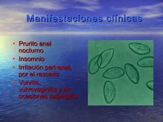 Manifestaciones clínicas

• Prurito anal
    nocturno
•   Insomnio
•   Irritación peri-anal,
    por el rascado
•   Vulvitis,
    vulvovaginitis y en
    ocasiones salpingitis
 