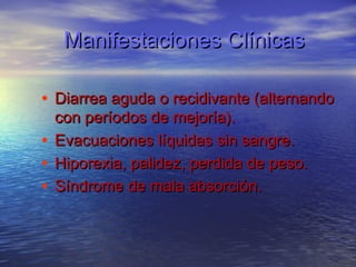 Manifestaciones Clínicas

• Diarrea aguda o recidivante (alternando
  con períodos de mejoría).
• Evacuaciones líquidas sin sangre.
• Hiporexia, palidez, perdida de peso.
• Síndrome de mala absorción.
 