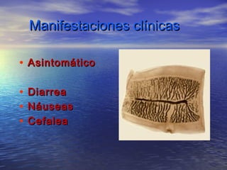 Manifestaciones clínicas

• Asintomático

•   Diarrea
•   Náuseas
•   Cefalea
 
