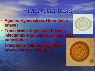 HIMENOLEPIASIS
• Agente: Hymenolepis Nana (tenia
  enana)
• Transmisión: Ingesta de huevos
  infectantes expulsados por personas
  parasitadas
• Frecuencia: Climas templados,
  preescolares y escolares
 