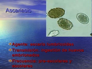 Ascariasis




  Agente: ascaris lumbricoides
  Transmisión: ingestión de huevos
  embrionados
  Frecuencia: pre-escolares y
  escolares
 