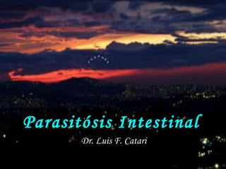 Parasitósis Intestinal
       Dr. Luis F. Catari
 