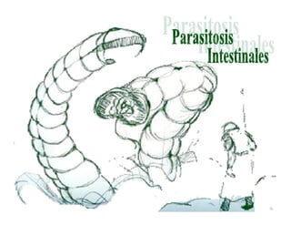 Parasitosis Intestinales Humanas