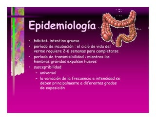 Parasitosis Intestinales Humanas
