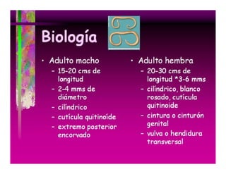 Parasitosis Intestinales Humanas