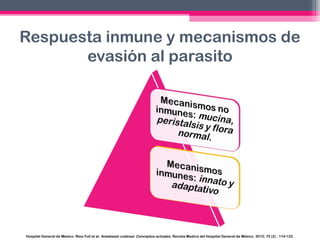 Respuesta inmune y mecanismos de
evasión al parasito

Hospital General de México. Ríos-Yuil et al. Amebiasis cutánea: Conceptos actuales. Revista Medica del Hospital General de México. 2012; 75 (2) : 114-122.

 