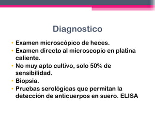 Diagnostico
• Examen microscópico de heces.
• Examen directo al microscopio en platina
caliente.
• No muy apto cultivo, solo 50% de
sensibilidad.
• Biopsia.
• Pruebas serológicas que permitan la
detección de anticuerpos en suero. ELISA

 
