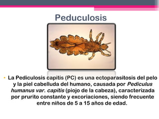 Peduculosis

• La Pediculosis capitis (PC) es una ectoparasitosis del pelo
y la piel cabelluda del humano, causada por Pediculus
humanus var. capitis (piojo de la cabeza), caracterizada
por prurito constante y excoriaciones, siendo frecuente
entre niños de 5 a 15 años de edad.

 